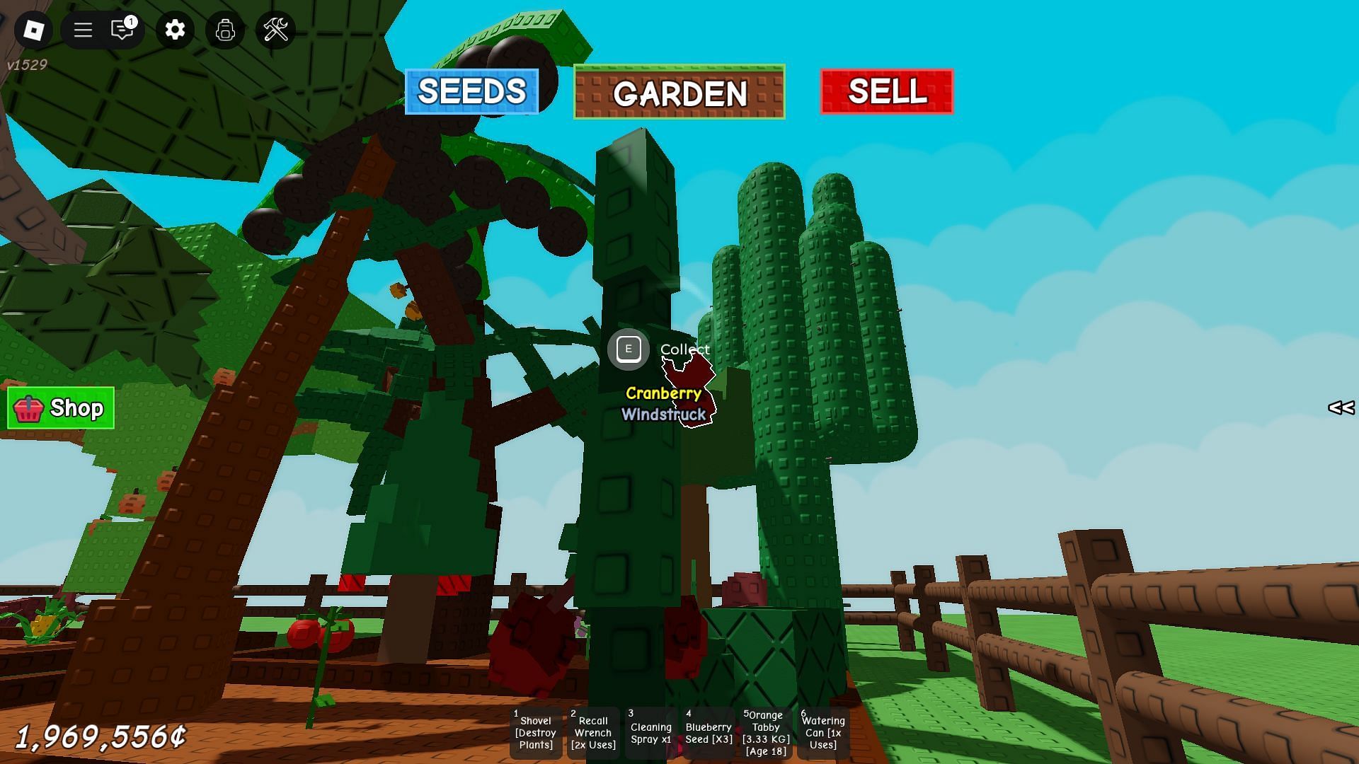 A Windstruck Fruit (Image via Roblox)